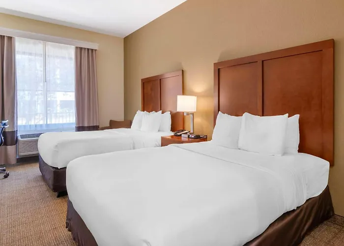 Comfort Inn & Suites Northeast - Gateway